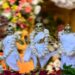Ram Navami Celebrated With Grand Festivities At ISKCON Temple In Patna