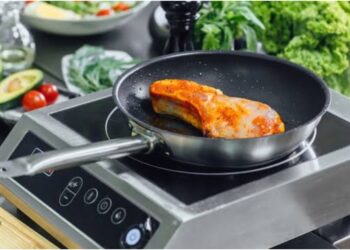 LPG Shortage in Patna Drives Households and Eateries to Rely on Induction Stoves