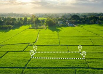 Bihar Government Plans Major Hike in Land Circle Rates; Proposal Likely to Reach Cabinet in April