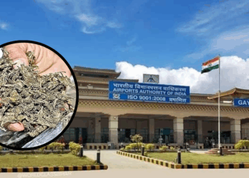 Gaya Airport Seizes 8.5 kg of Hydroponic Marijuana from Bangkok Flight, Five Arrested