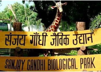 Patna Zoo Reopens to Visitors After Bird Flu Scare Clears