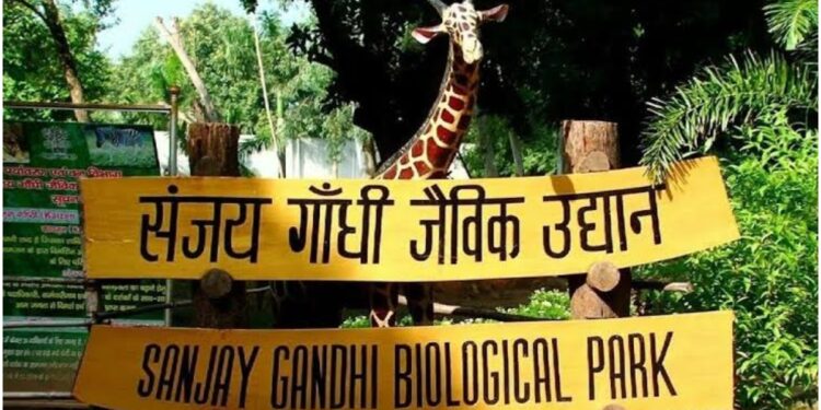 Patna Zoo Reopens to Visitors After Bird Flu Scare Clears