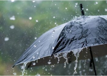 Bihar Weather Alert: Storms, Rain and 50 km/h Winds Set to Hit From March 20