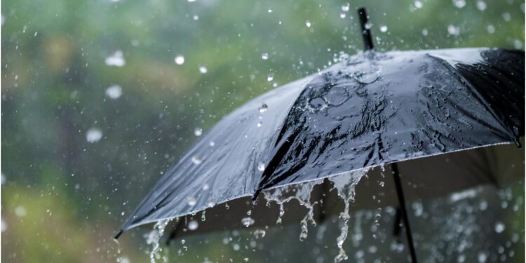 Bihar Weather Alert: Storms, Rain and 50 km/h Winds Set to Hit From March 20