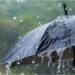 Bihar Weather Alert: Storms, Rain and 50 km/h Winds Set to Hit From March 20