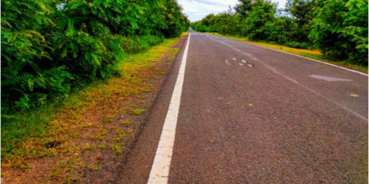 Bihar Government Approves Rs 73.37 Crore Project to Widen 12.5 km Road in Madhubani