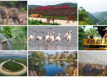 10 Wildlife Hotspots in Bihar to Explore