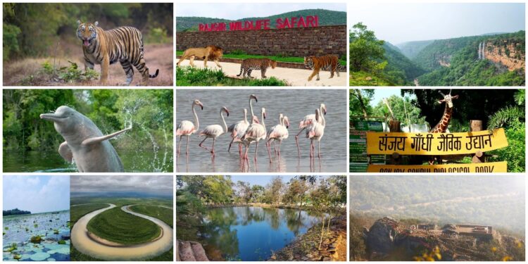 10 Wildlife Hotspots in Bihar to Explore