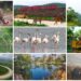 10 Wildlife Hotspots in Bihar to Explore