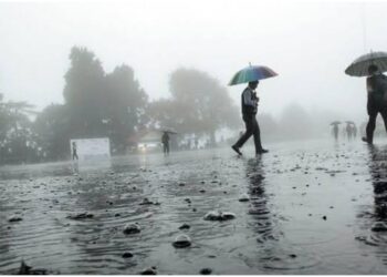 IMD Issues Three-Day Yellow Alert for Bihar, Warns of Heavy Rain , Thunderstorms and Strong Winds