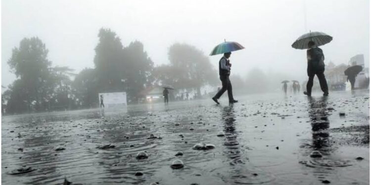 IMD Issues Three-Day Yellow Alert for Bihar, Warns of Heavy Rain , Thunderstorms and Strong Winds