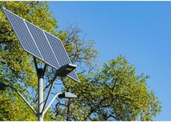 Bihar Government to Display Real-Time Solar Streetlight Status in District Collectorates to Boost Transparency