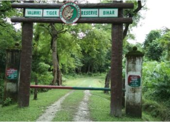 Bihar to Open Gateway of VTR in West Champaran This Month, Boosting Tourism in the Region