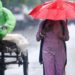 Bihar Weather Turns Dramatic as Storms and Rain Arrive Amid Heatwave, IMD Issues Statewide Alerts