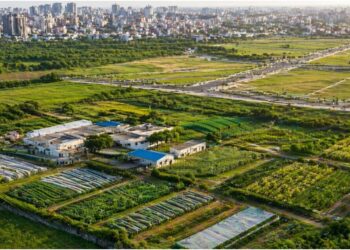 Farmers’ Land in Bihar Set to Fetch Premium Prices as Core Areas Prioritised for Satellite Townships