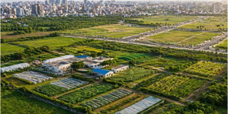 Farmers’ Land in Bihar Set to Fetch Premium Prices as Core Areas Prioritised for Satellite Townships