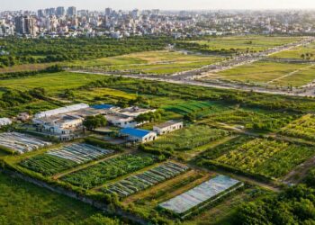 Bihar Govt To Acquire Agriculture Farm Land In Cities For Satellite Township Projects- Major Cabinet Decision Explained