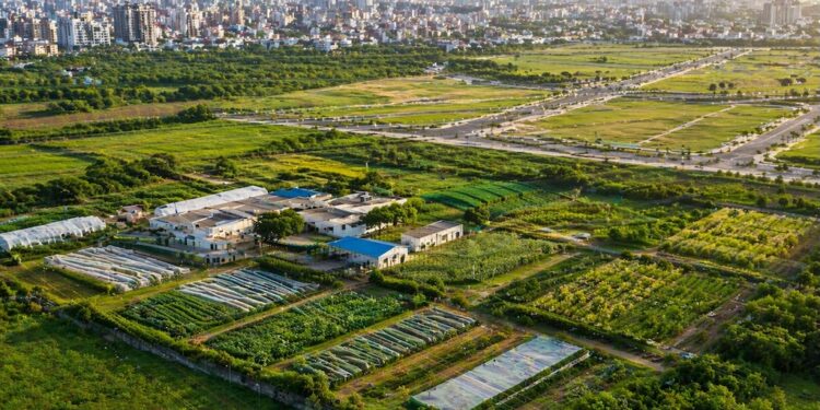 Bihar Govt To Acquire Agriculture Farm Land In Cities For Satellite Township Projects- Major Cabinet Decision Explained