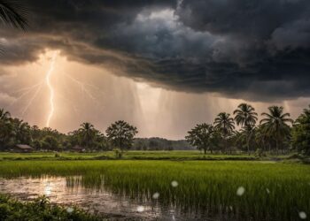 Thunderstorms, Lightning And Strong Winds Likely Across Bihar Over Next Four Days, IMD Warns