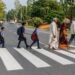 Bihar Govt Rolls Out Mass Zebra Crossing Project To Improve Rural Road Safety