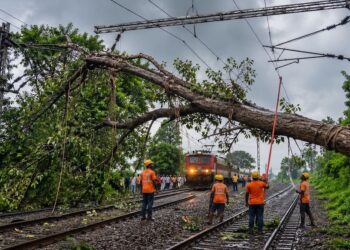 Patna–Delhi Route Hit As Storm Topples Tree On Tracks, Express Trains Delayed By Hours