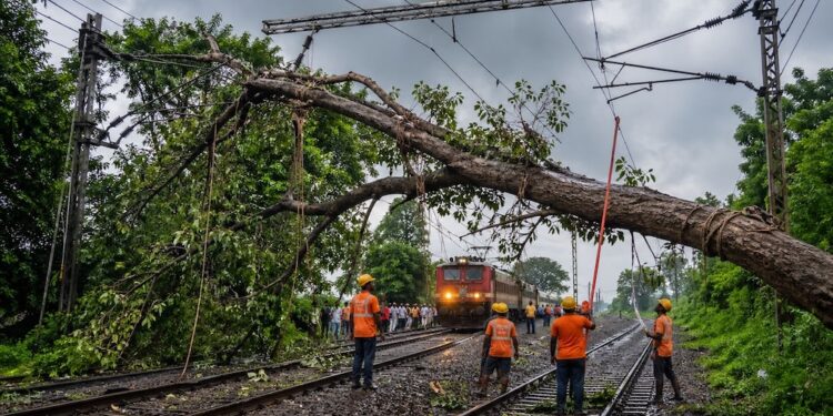 Patna–Delhi Route Hit As Storm Topples Tree On Tracks, Express Trains Delayed By Hours