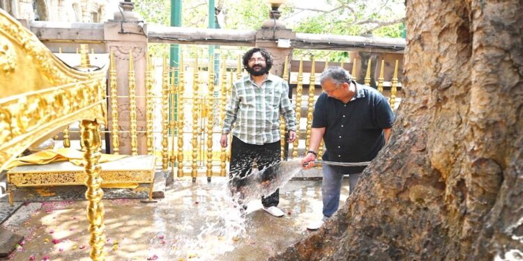 Bodhi Tree In ‘Good Health’, Say FRI Scientists After Inspection At Mahabodhi Temple