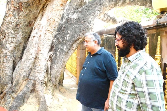 Bodhi Tree In ‘Good Health’, Say FRI Scientists After Inspection At Mahabodhi Temple