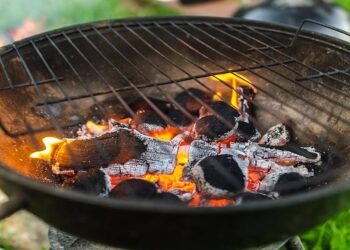 Bihar To Supply Cooking Coal Through Ration Shops Amid LPG Shortage