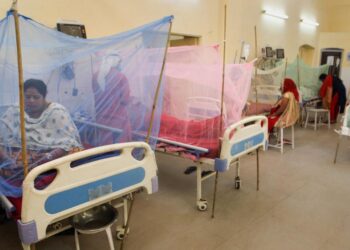 Dengue Alert In Patna: Pmch Sets Up 10-Bed Ward Amid Rising Risk