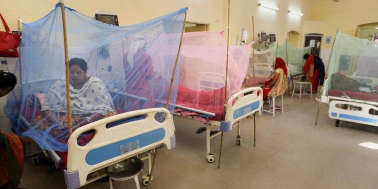 Dengue Alert In Patna: Pmch Sets Up 10-Bed Ward Amid Rising Risk
