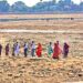 Holy Crisis In Gaya: Falgu River Dries Up, Devotees Pay For Water During Rituals