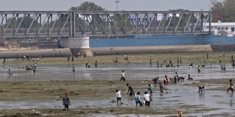 Crowds Flock To Gaya Dam To Catch Fish After Water Release Despite Warnings