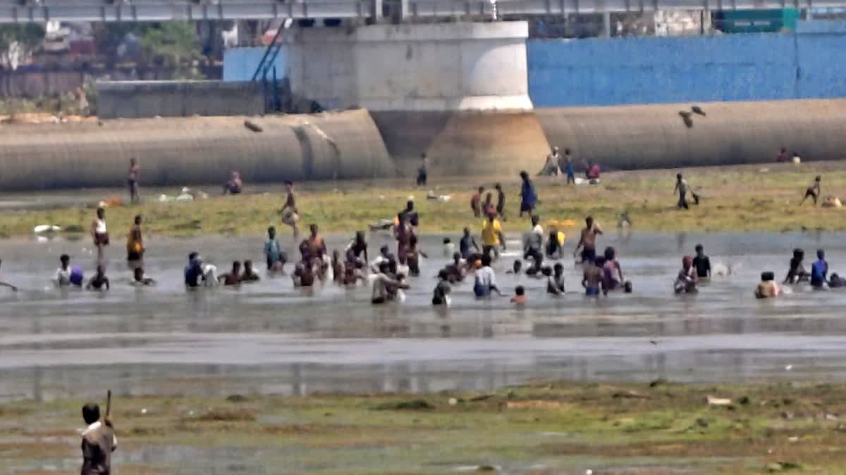 Fish Frenzy In Gaya: Crowds Rush To Rubber Dam After Water Release