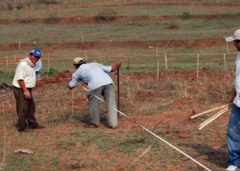 Bihar Govt Implements New Land Measurement Rules: Surveys Within 7 Days, Reports In 14 Days