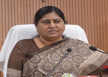 Bihar LPG Supply Stable Despite Gulf War, Minister Leshi Singh Says