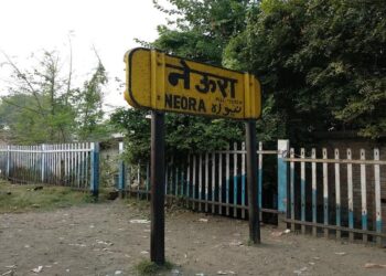 Railways Cancel, Divert Trains In Danapur Division Over Neura Connectivity Work