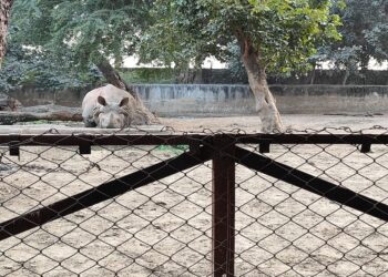 Guided Tours And Digital Services Launched At Patna Zoo To Enhance Visitor Experience