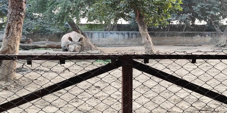 Guided Tours And Digital Services Launched At Patna Zoo To Enhance Visitor Experience