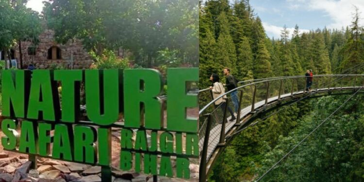 Interested in Adventure Tourism in Bihar? Come To Rajgir For A ‘Cliff Walk’