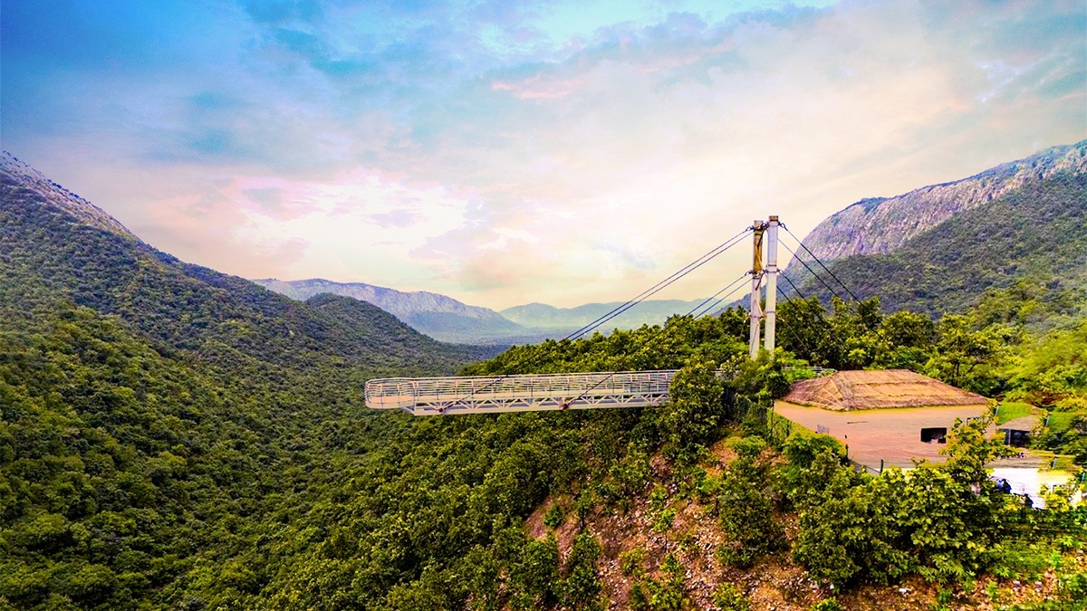 Rajgir Safari Introduces Rs 2,000 ‘Priority Package’ Offering All Attractions In One Ticket