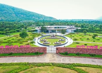 Rajgir Safari Introduces Rs 2,000 ‘Priority Package’ Offering All Attractions In One Ticket