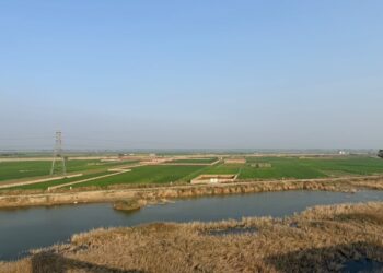 Know Details of Sonepur Mega Township: Multi-Block Satellite City To Rise Near Proposed Airport