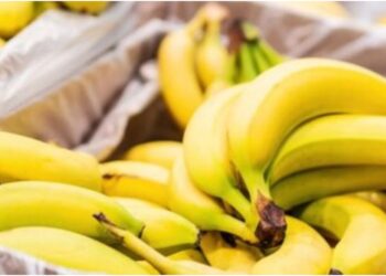Bright Yellow, Hidden Risk: How to Tell if Your Banana Is Safe to Eat