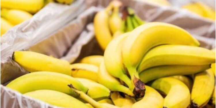 Bright Yellow, Hidden Risk: How to Tell if Your Banana Is Safe to Eat
