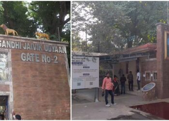 White Tigress to Iguanas: Patna Zoo’s Big Wildlife Makeover Promises a Crowd-Pulling Summer