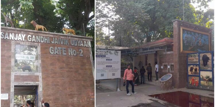 White Tigress to Iguanas: Patna Zoo’s Big Wildlife Makeover Promises a Crowd-Pulling Summer