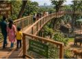 Bihar’s First Tree-Top Walkway to Bring a New Adventure Experience to Patna Zoo