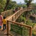 Bihar’s First Tree-Top Walkway to Bring a New Adventure Experience to Patna Zoo