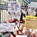IGIMS Nursing Protest Ends After 48 Hours as Students Withdraw Agitation; Deputy Principal Barred from Academic Duties